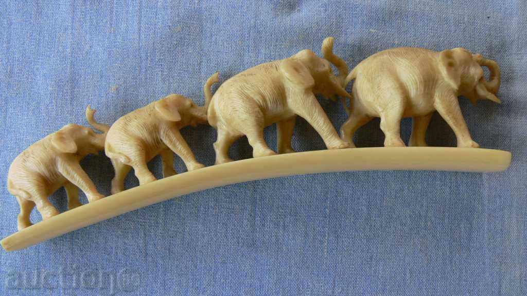 Δημοπρασία ελεφαντόδοντο