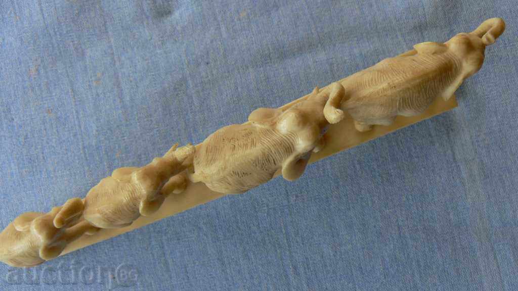 ελεφαντόδοντο - 5