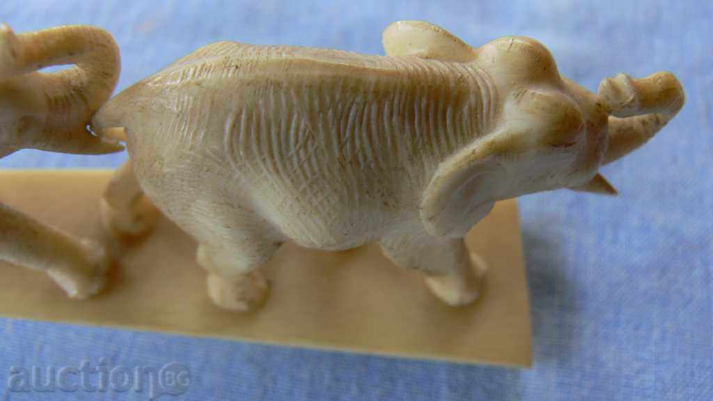 ελεφαντόδοντο - 6