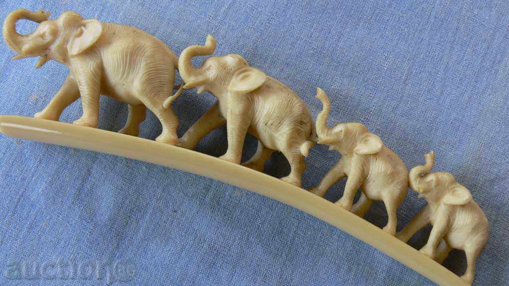 ελεφαντόδοντο