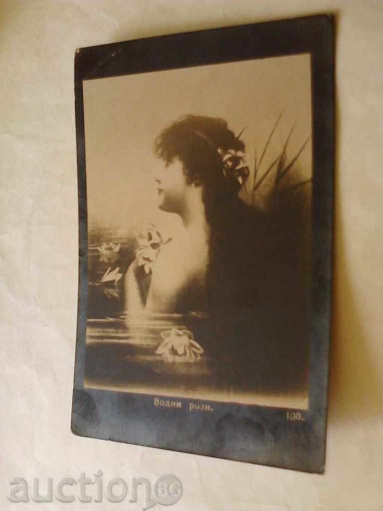 nimfeacee carte poștală 1934