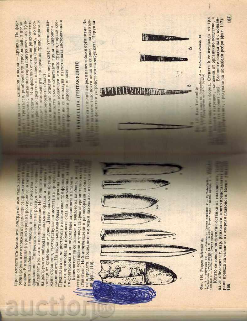 Delivery of PALONTOLOGY - BORIS STRASHIMIROV Delivery of PALONTOLOGY - BORIS STRASHIMIROV