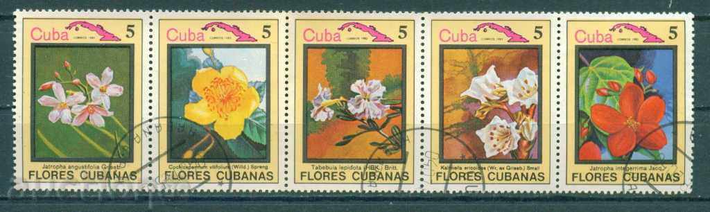31K247 / CUBA - FLORA - FLOWER