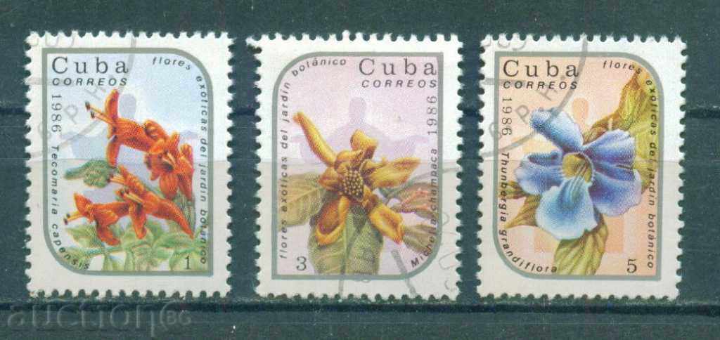 31K250 / CUBA - FLORA - FLOWER