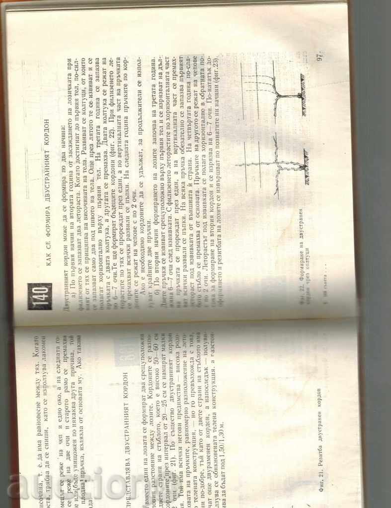 Delivery of THE COUNCIL FOR THE LOVE THE LOZAR - M. NIKOV