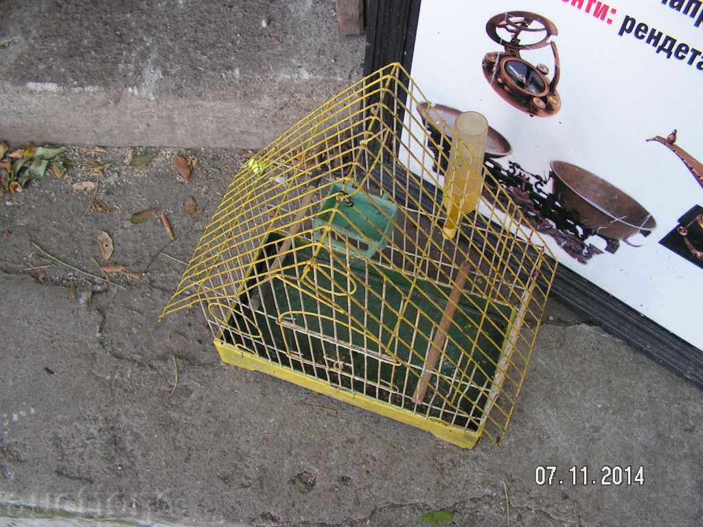 Auction 4254. PAPER OR CANNER CELLS Auction 4254. PAPER OR CANNER CELLS