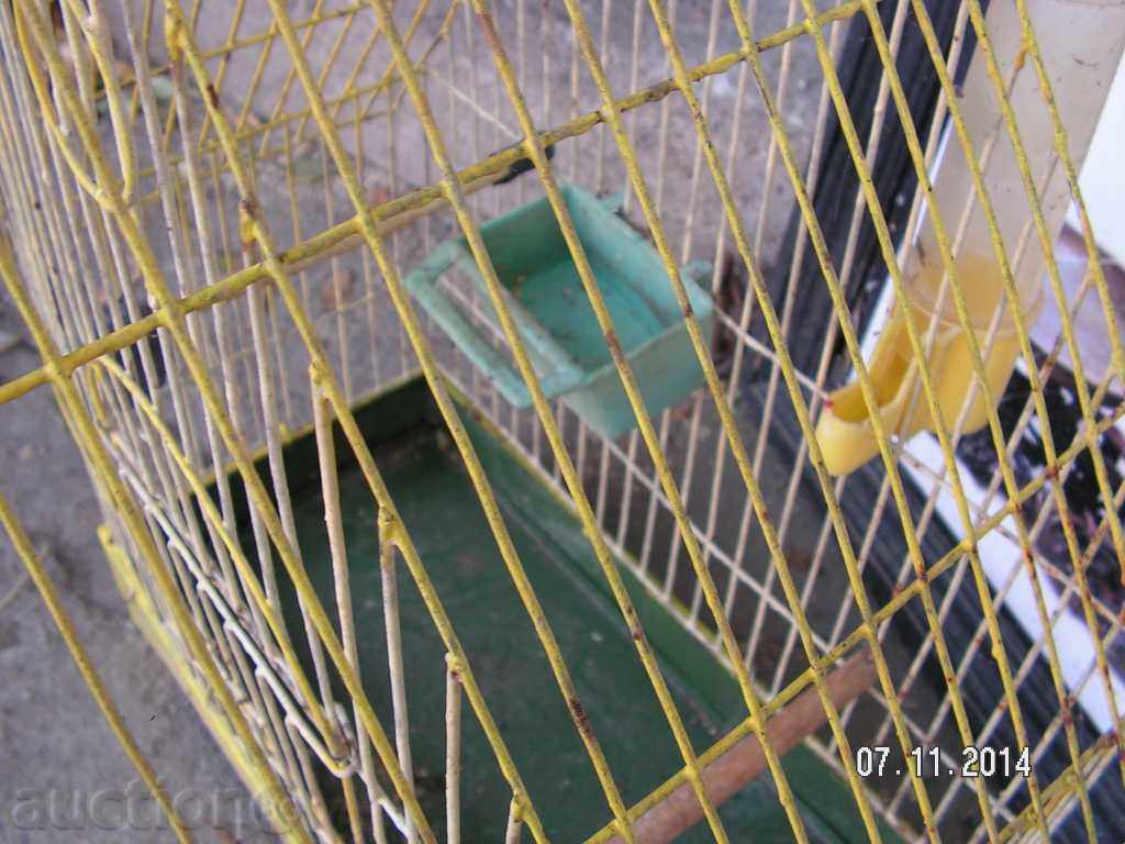 4254. PAPER OR CANNER CELLS - 5 4254. PAPER OR CANNER CELLS - 5