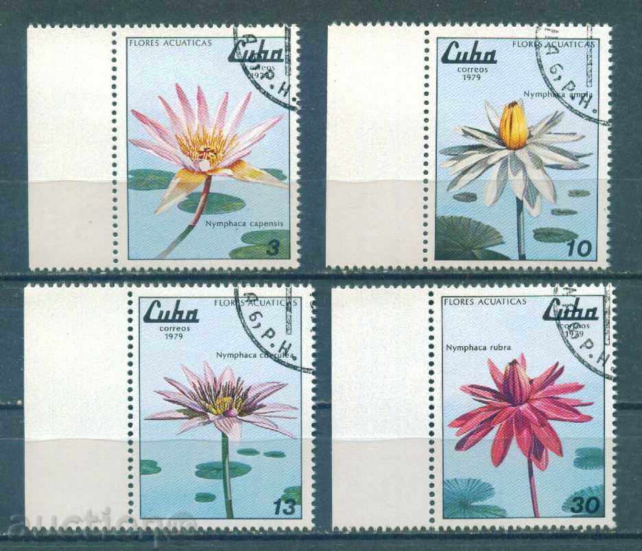 31K431 / CUBA - FLORA - WATER FLOWERS