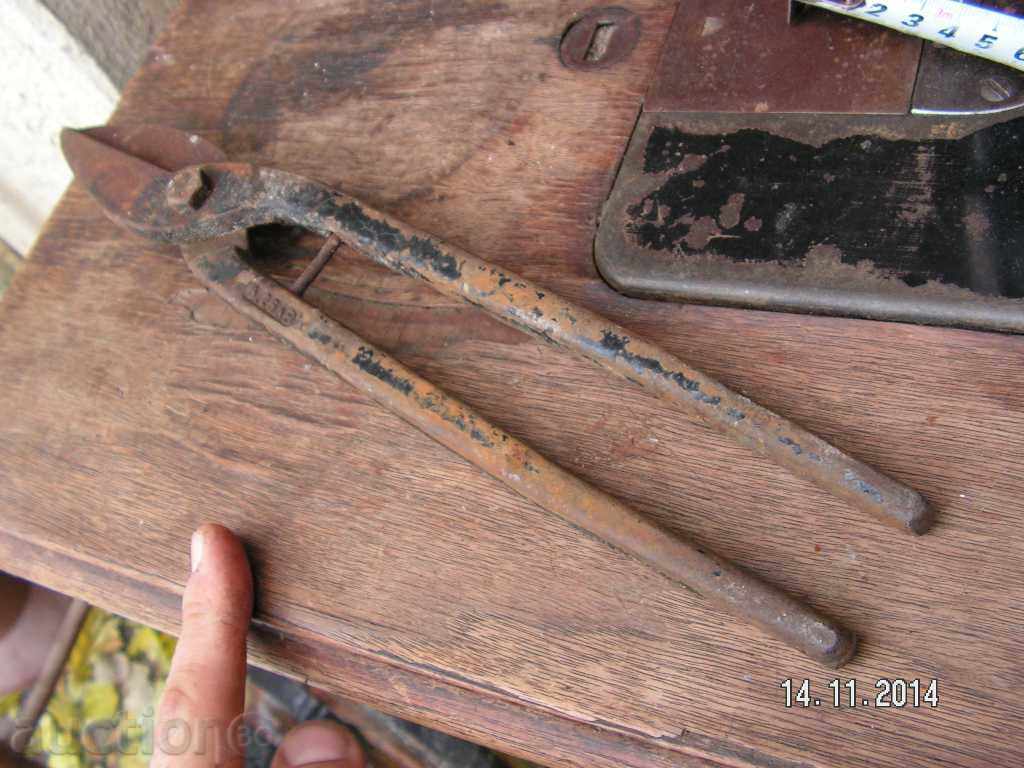 Auction  4309. STAR HARNESS FOR LAMARINA