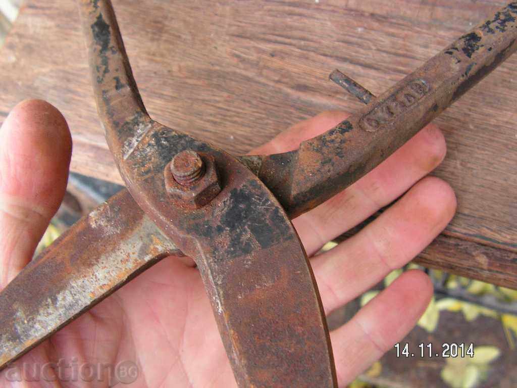 4309. STAR HARNESS FOR LAMARINA - 6