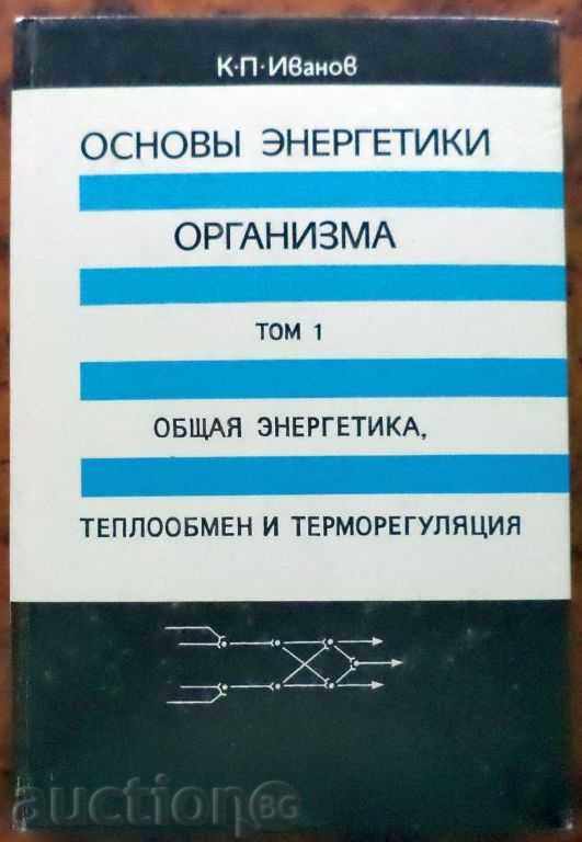 ОСНОВЫ ЭНЕРГЕТИКИ ОРГАНИЗМА ОСНОВЫ ЭНЕРГЕТИКИ ОРГАНИЗМА