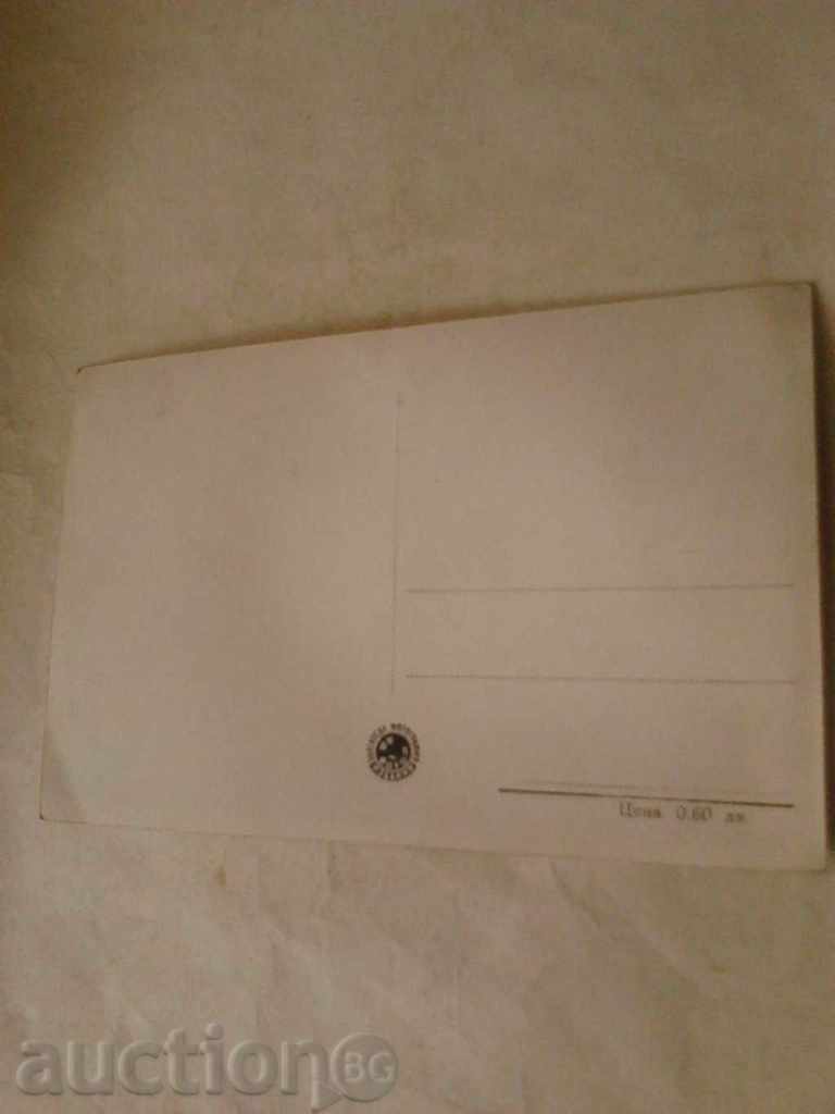 Postcard Letohrad Georgi Dimitrov The Lake with price 0.85 BGN | € 0.43 Postcard Letohrad Georgi Dimitrov The Lake with price 0.85 BGN | € 0.43