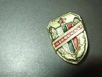 badge badge