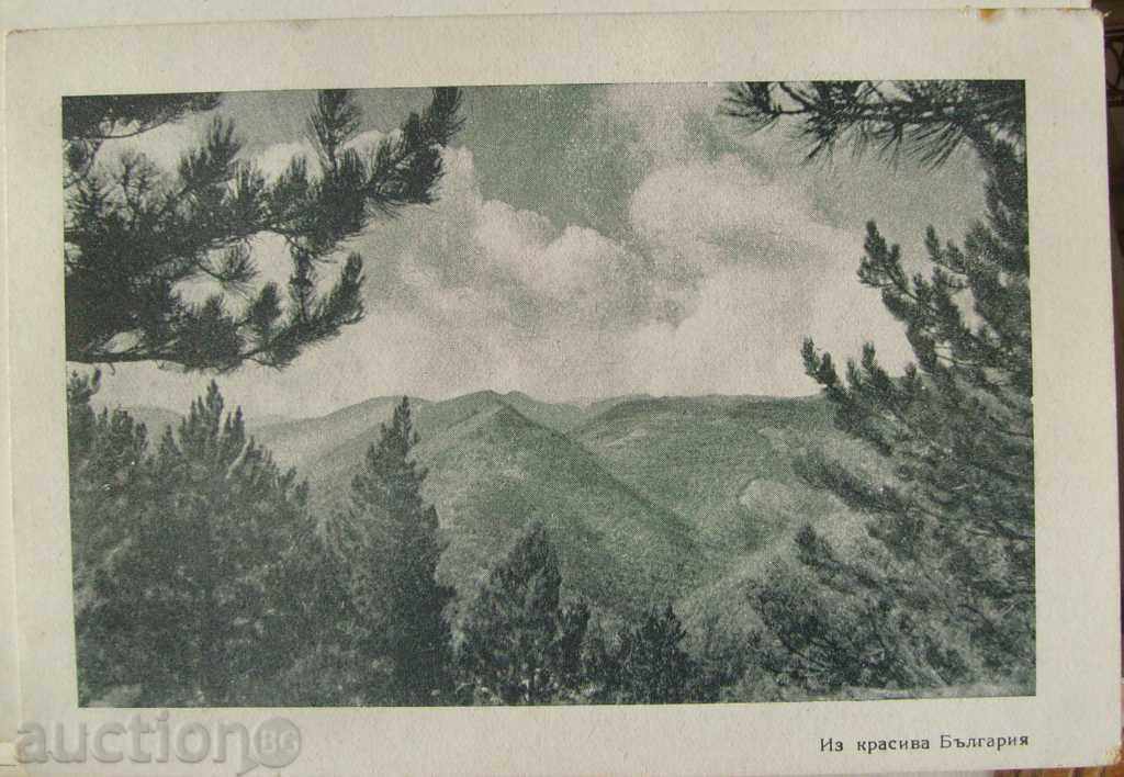 De la frumoasa Bulgaria - Mountain View 1950-1955