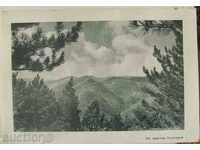 Из красива България - Планински изглед 1950 / 55