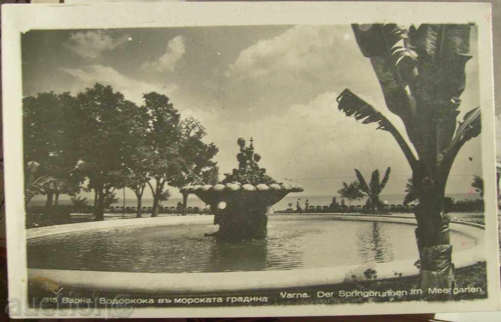 Varna - Waterfall in the Sea Garden - 1946
