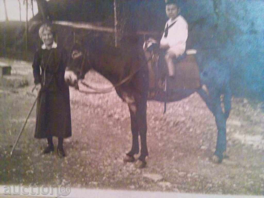 1921-STAR PICTURE-CARD with price 5.00 BGN | € 2.56