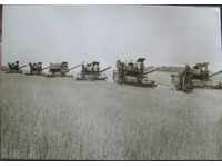 Wheat harvesters / Haskovo - around 1975?