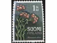 Cedar brand Flowers 2010 from Finland