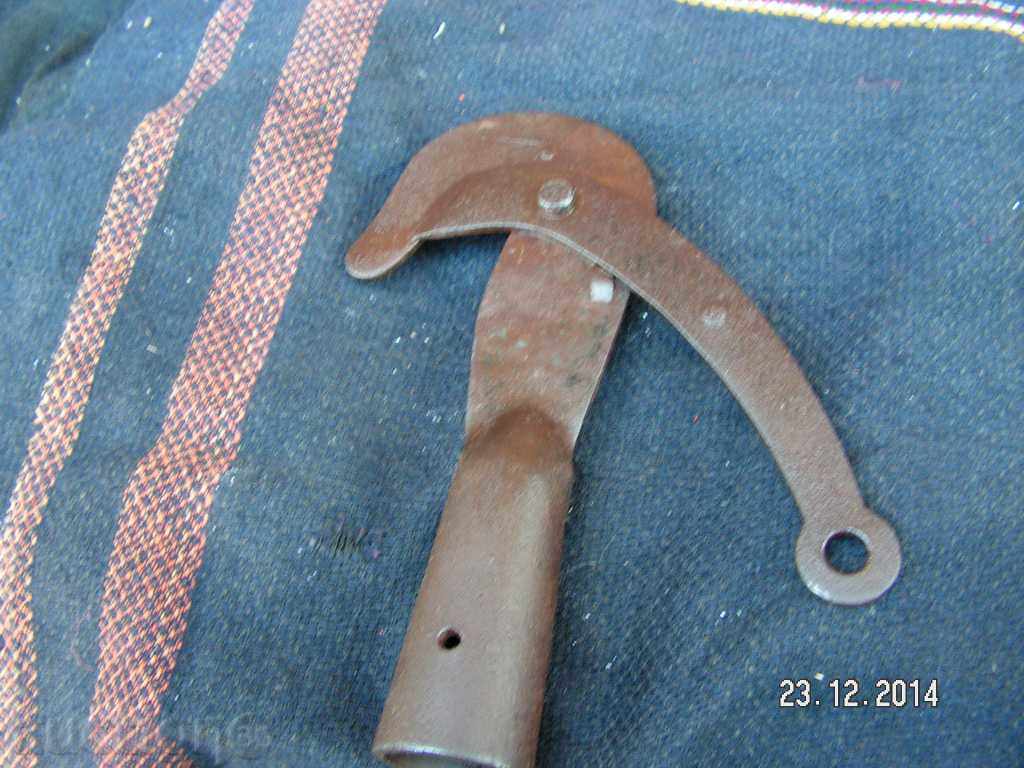 Auction  4569. STAR NANCY FOR BRANCHES