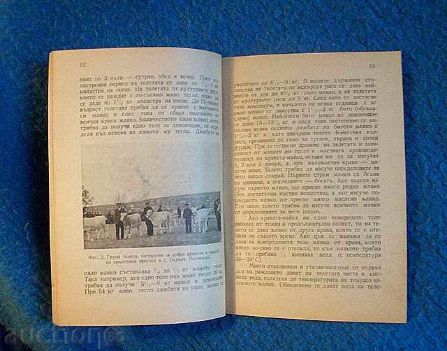 "CARE FOR YOUNG ANIMALS" - 1948 with price 3.00 BGN | € 1.53