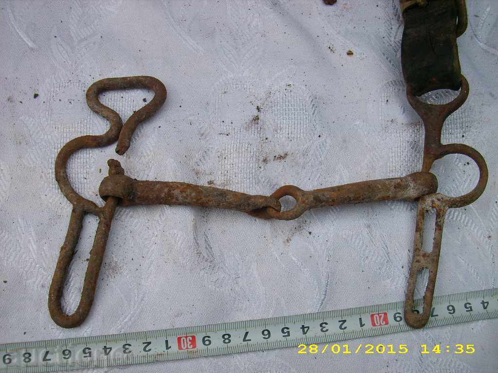 Delivery of COVER GEM, NATURAL SKIN Delivery of COVER GEM, NATURAL SKIN