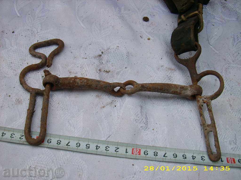 COVER GEM, NATURAL SKIN - 6 COVER GEM, NATURAL SKIN - 6