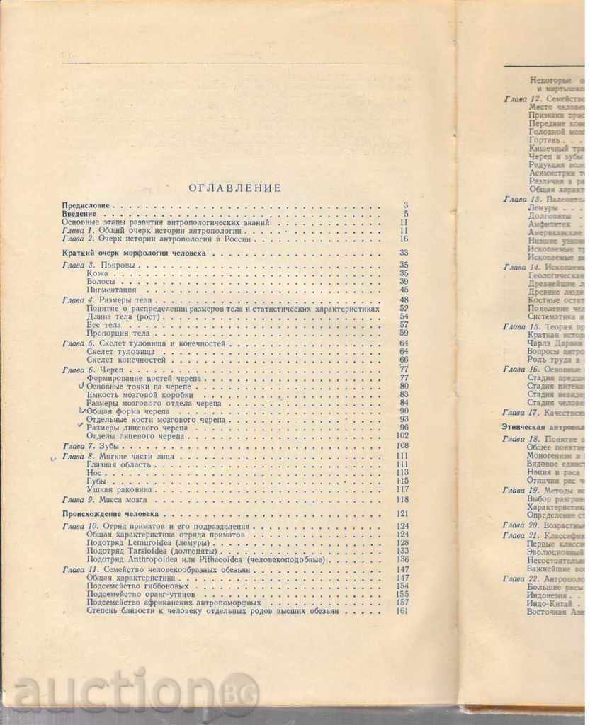 Auction  Основни антропологии