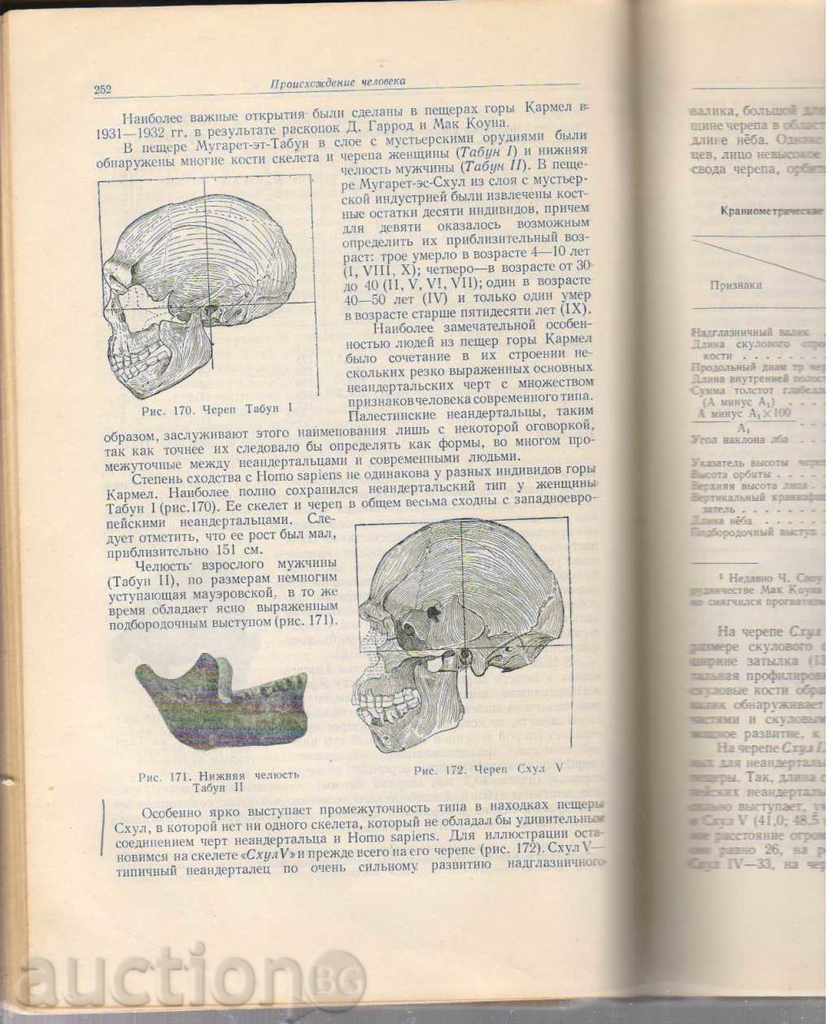 Delivery of Основни антропологии