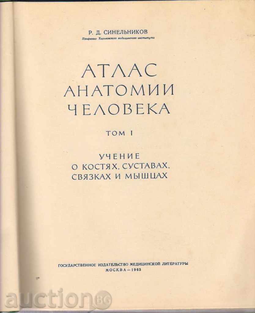 RD Sinelenikov. Atlas Anatomy Man. Volume 1 with price 50.00 BGN | € 25.56 RD Sinelenikov. Atlas Anatomy Man. Volume 1 with price 50.00 BGN | € 25.56
