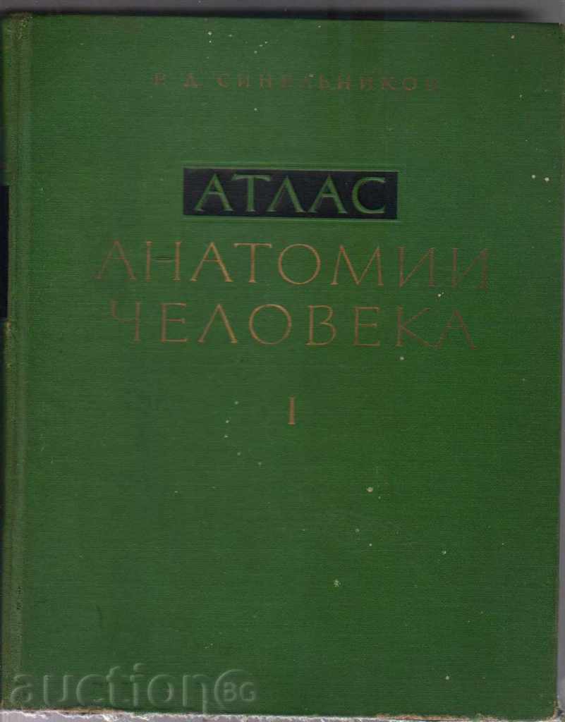 RD Sinelenikov. Atlas Anatomy Man. Volume 1