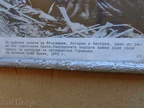 Portrait, painting, propaganda, photography, photography - 5 Portrait, painting, propaganda, photography, photography - 5