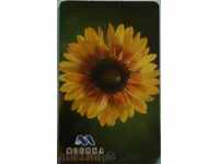 Mobica-Flower Card 8-Gerber