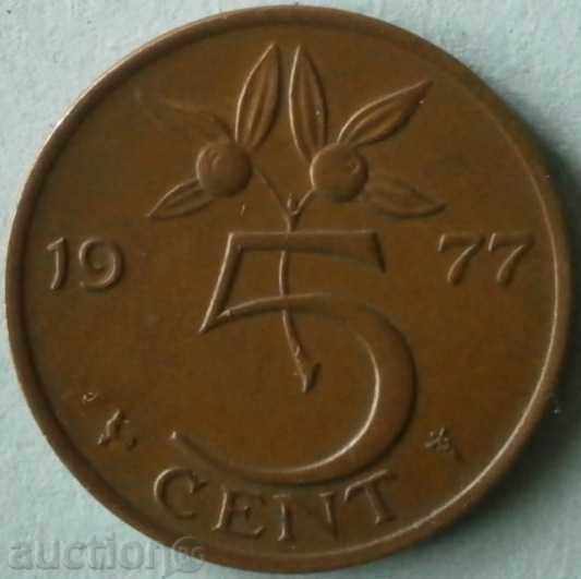 Țările de Jos 5 cenți 1977.