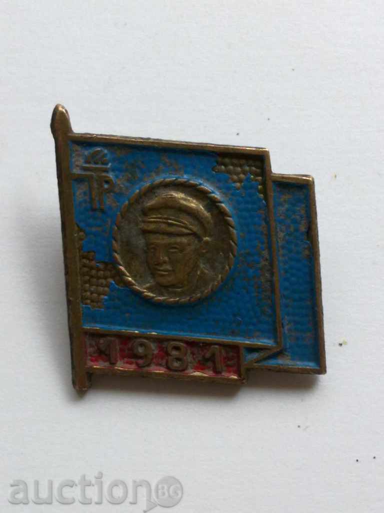 Badge from 1981