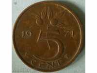 Țările de Jos 5 cenți 1971.