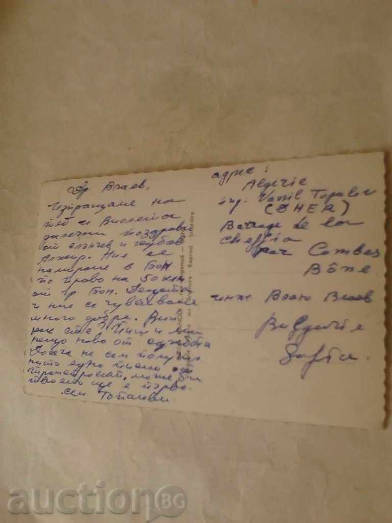 Postcard Souvenir de Bone Algerie with price 0.55 BGN | € 0.28 Postcard Souvenir de Bone Algerie with price 0.55 BGN | € 0.28