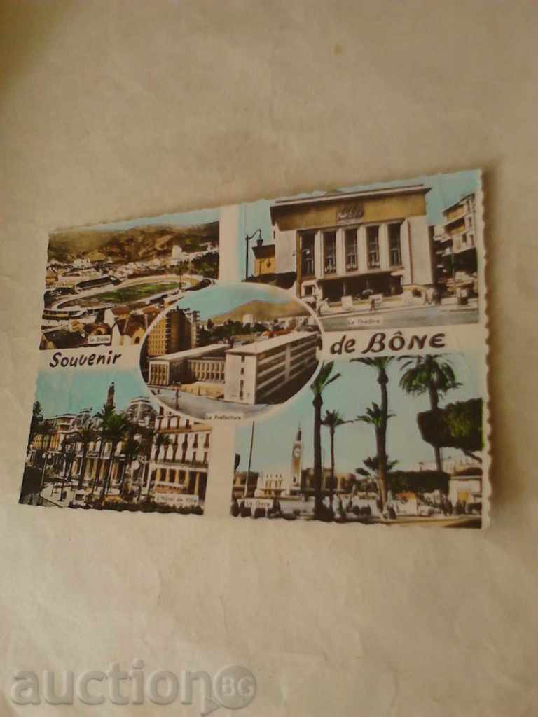 Postcard Souvenir de Bone Algerie