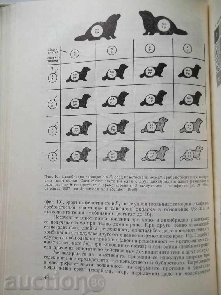 Auction Contemporary issues of genetics and breed selection Auction Contemporary issues of genetics and breed selection