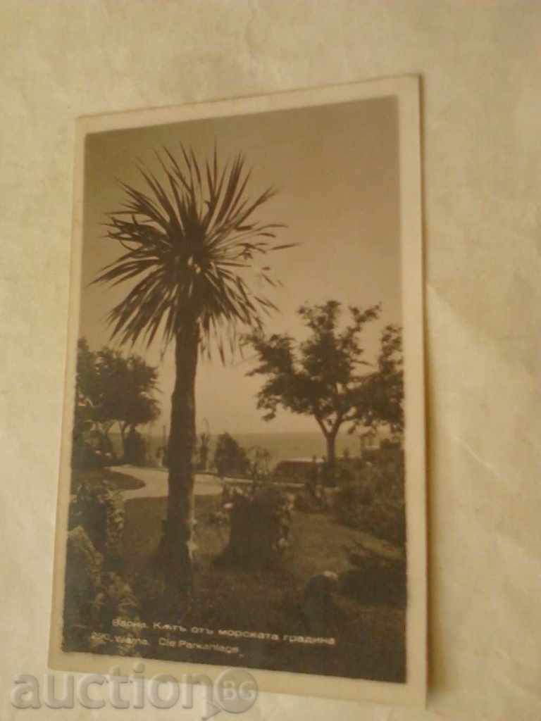 Carte poștală colț Varna Sea Garden Gr. PASKOVA