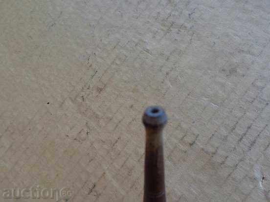 Cigarette, cigarette, chihuahua, cuddle - 5 Cigarette, cigarette, chihuahua, cuddle - 5