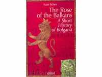 Η Rose των Βαλκανίων