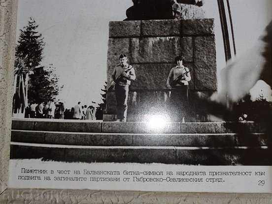 Framed photo, photography, portrait, poster, propaganda - 7 Framed photo, photography, portrait, poster, propaganda - 7