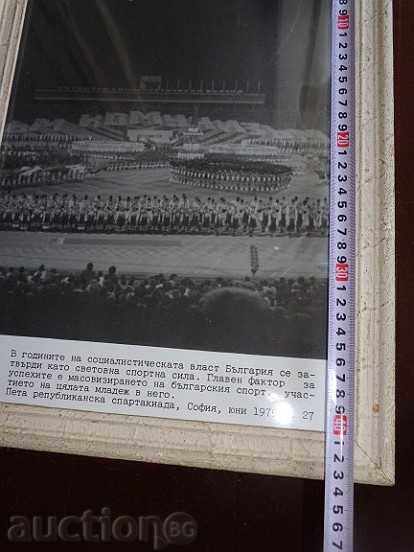 Delivery of Framed photo, photography, portrait, poster, propaganda