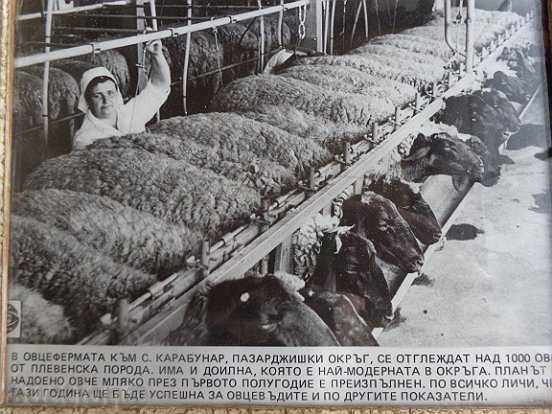 Photo frame, photography, portrait, propaganda, poster with price 30.00 BGN | € 15.34 Photo frame, photography, portrait, propaganda, poster with price 30.00 BGN | € 15.34