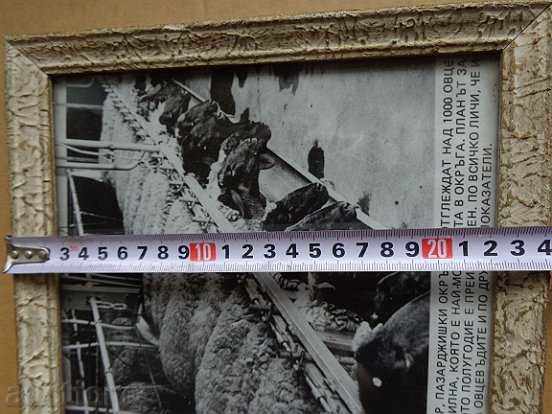 Delivery of Photo frame, photography, portrait, propaganda, poster Delivery of Photo frame, photography, portrait, propaganda, poster