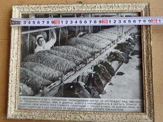 Photo frame, photography, portrait, propaganda, poster - 5 Photo frame, photography, portrait, propaganda, poster - 5