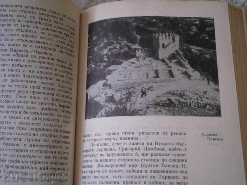 DRAGAN TENEV - THE GREEN GREEN BRANCH - 1979 - 7 DRAGAN TENEV - THE GREEN GREEN BRANCH - 1979 - 7