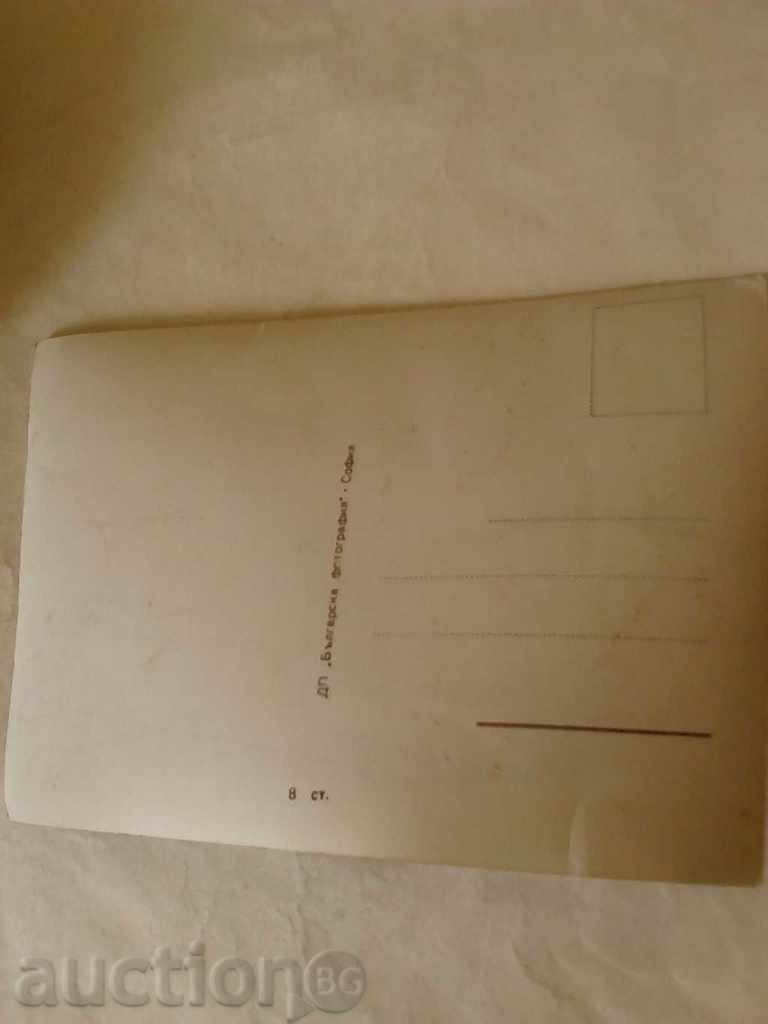 Postcard Gerard Philipe with price 0.45 BGN | € 0.23 Postcard Gerard Philipe with price 0.45 BGN | € 0.23