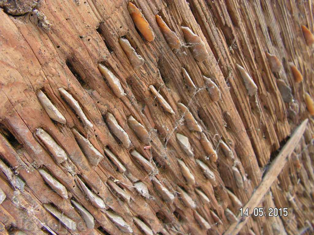 Auction 5204. AUTHENTIC OLD WOOD DANGER FOR WALL Auction 5204. AUTHENTIC OLD WOOD DANGER FOR WALL